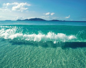 Wave